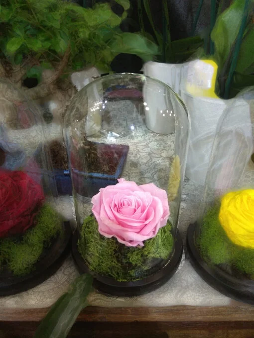Forever Rose | Τριαντάφυλλο ροζ σε γυάλα
