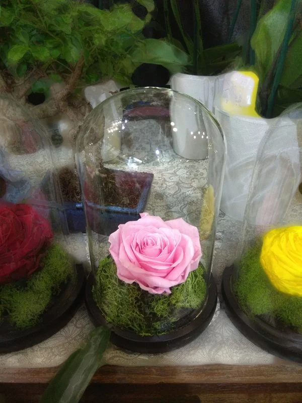 Forever Rose | Τριαντάφυλλο ροζ σε γυάλα