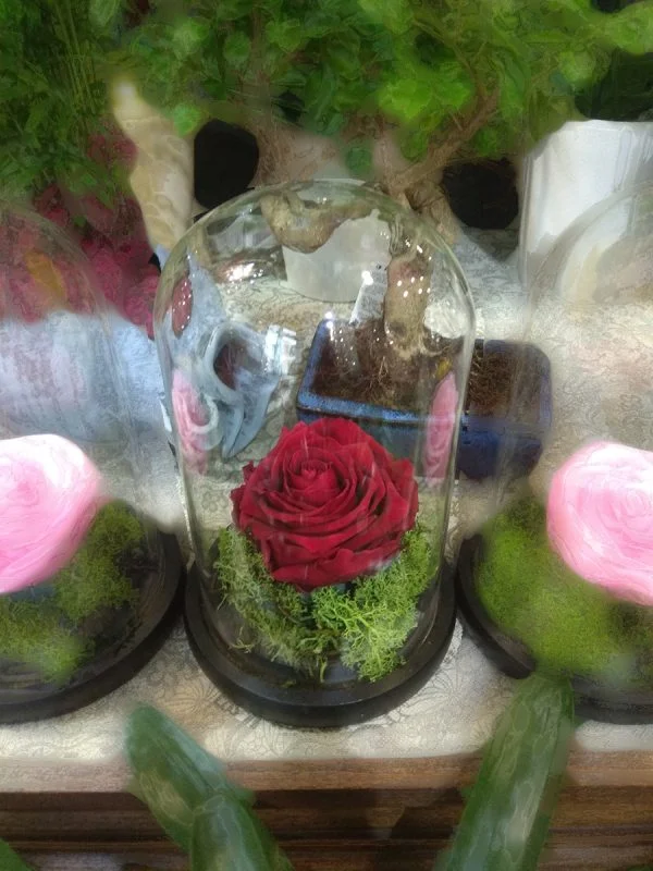 Forever Rose | Τριαντάφυλλο κόκκινο σε γυάλα